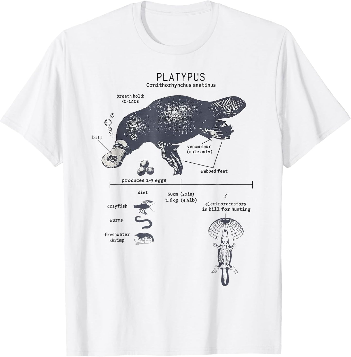 Funny Platypus Anatomy Diagram Science Lover