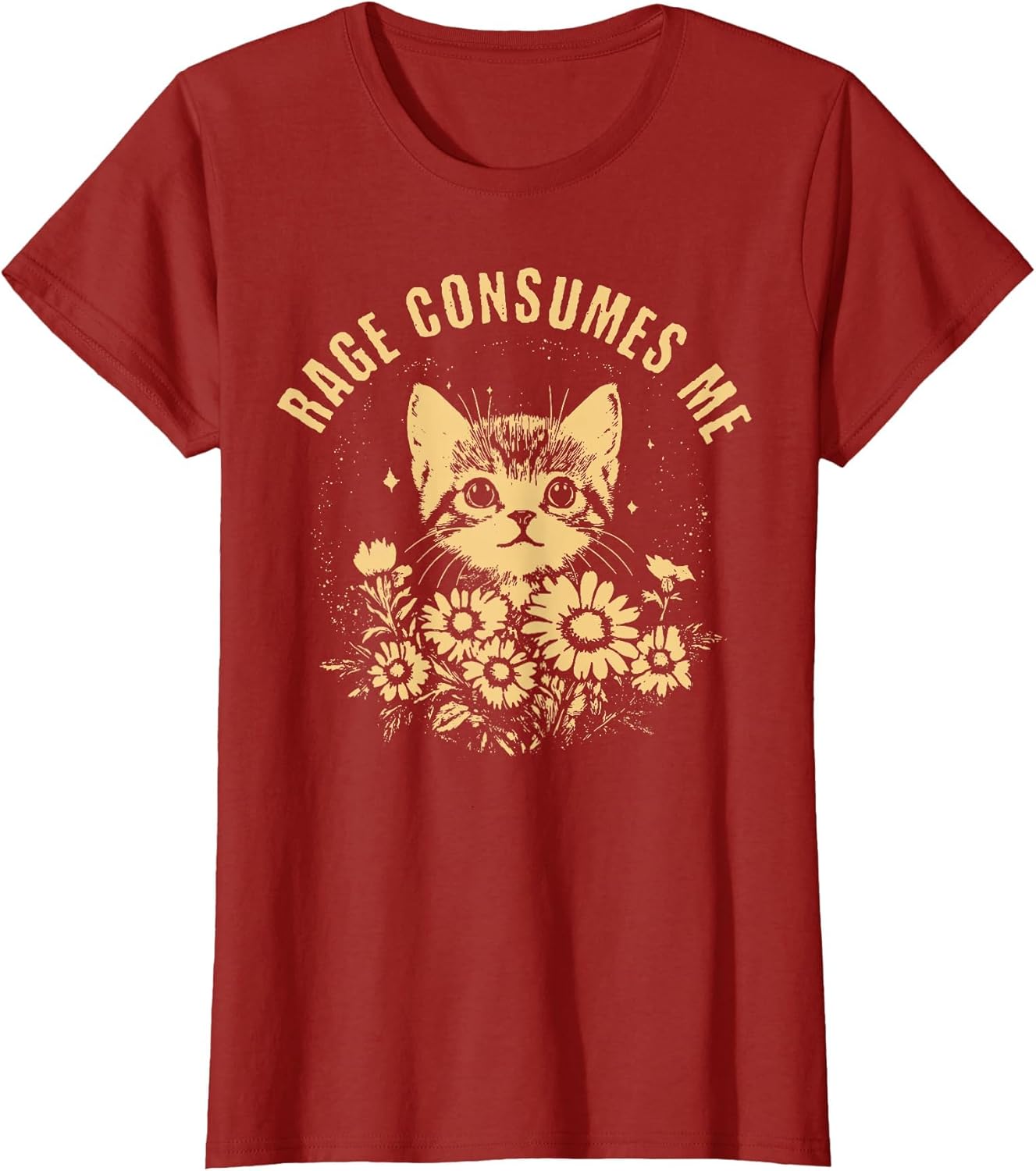 Rage Consumes Me Cute Cat Meme