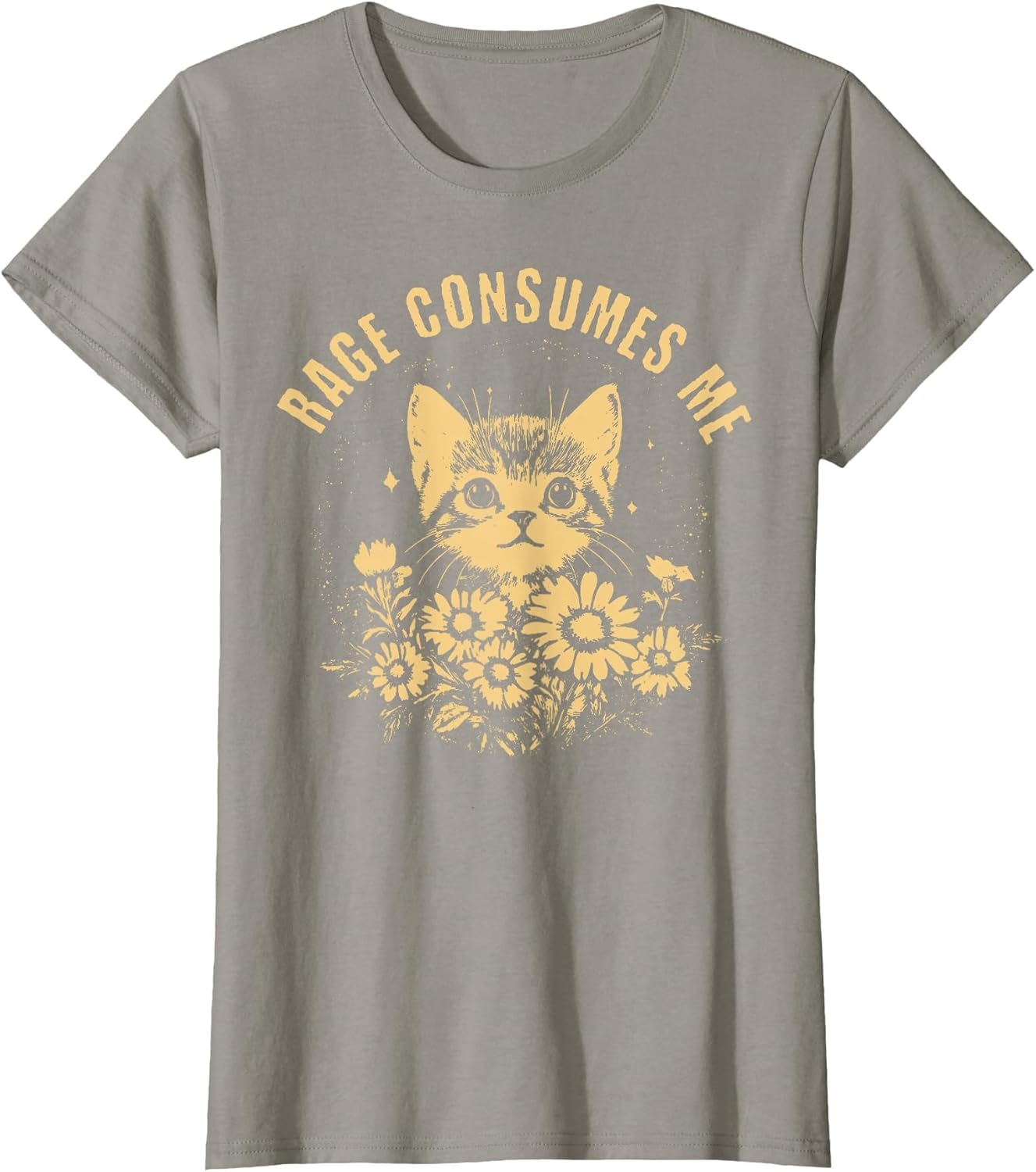 Rage Consumes Me Cute Cat Meme