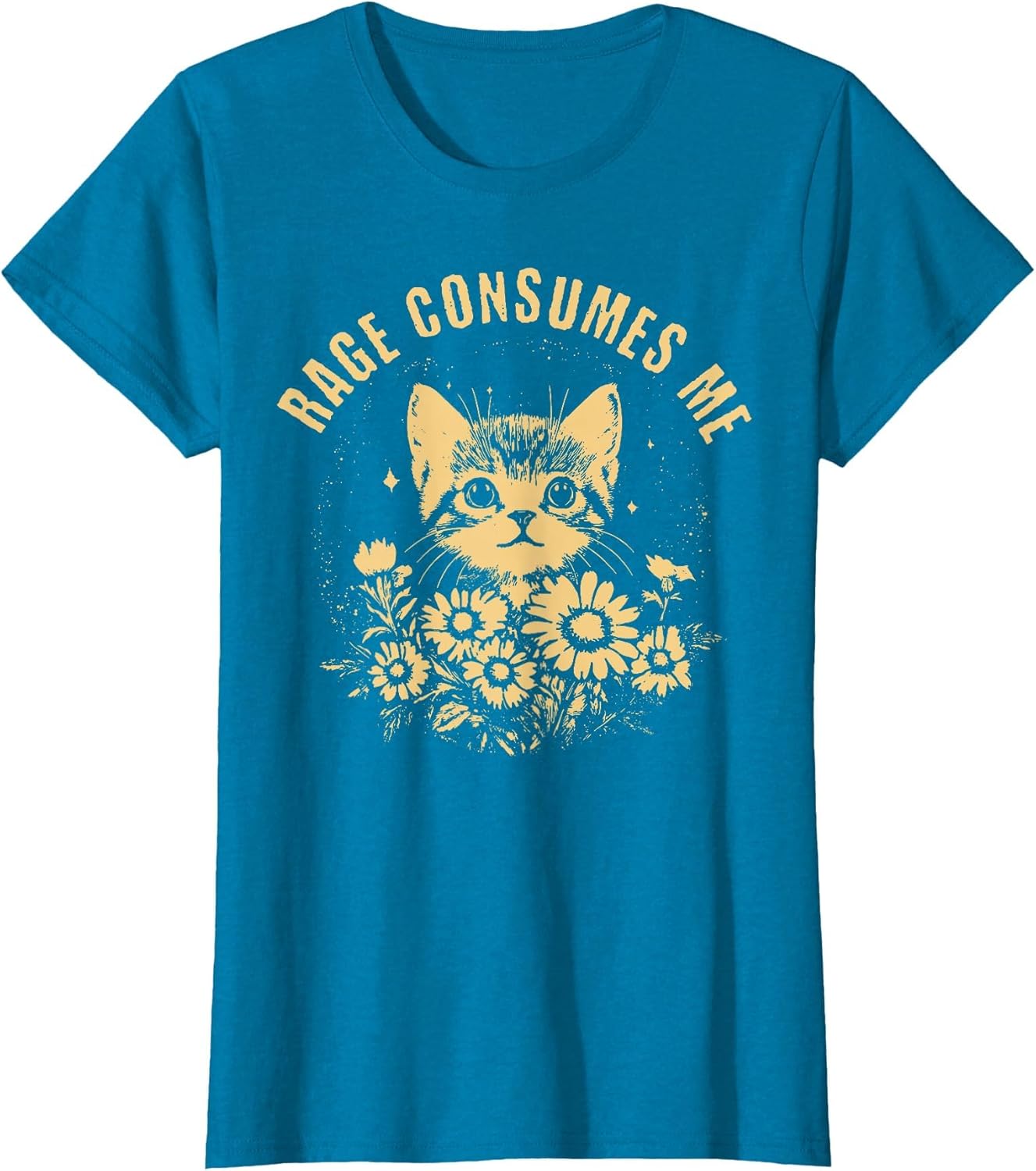 Rage Consumes Me Cute Cat Meme