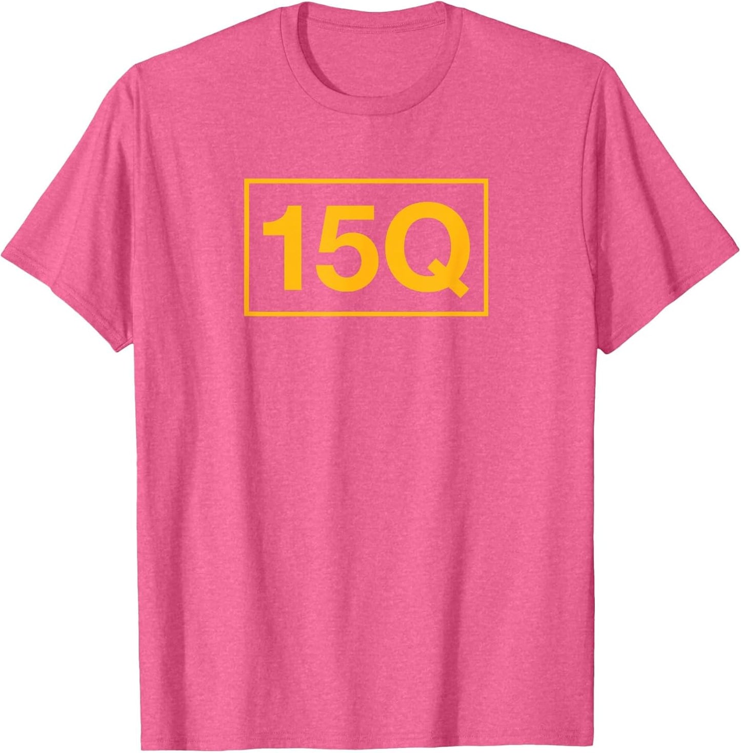 15Q Air Traffic Control Operator