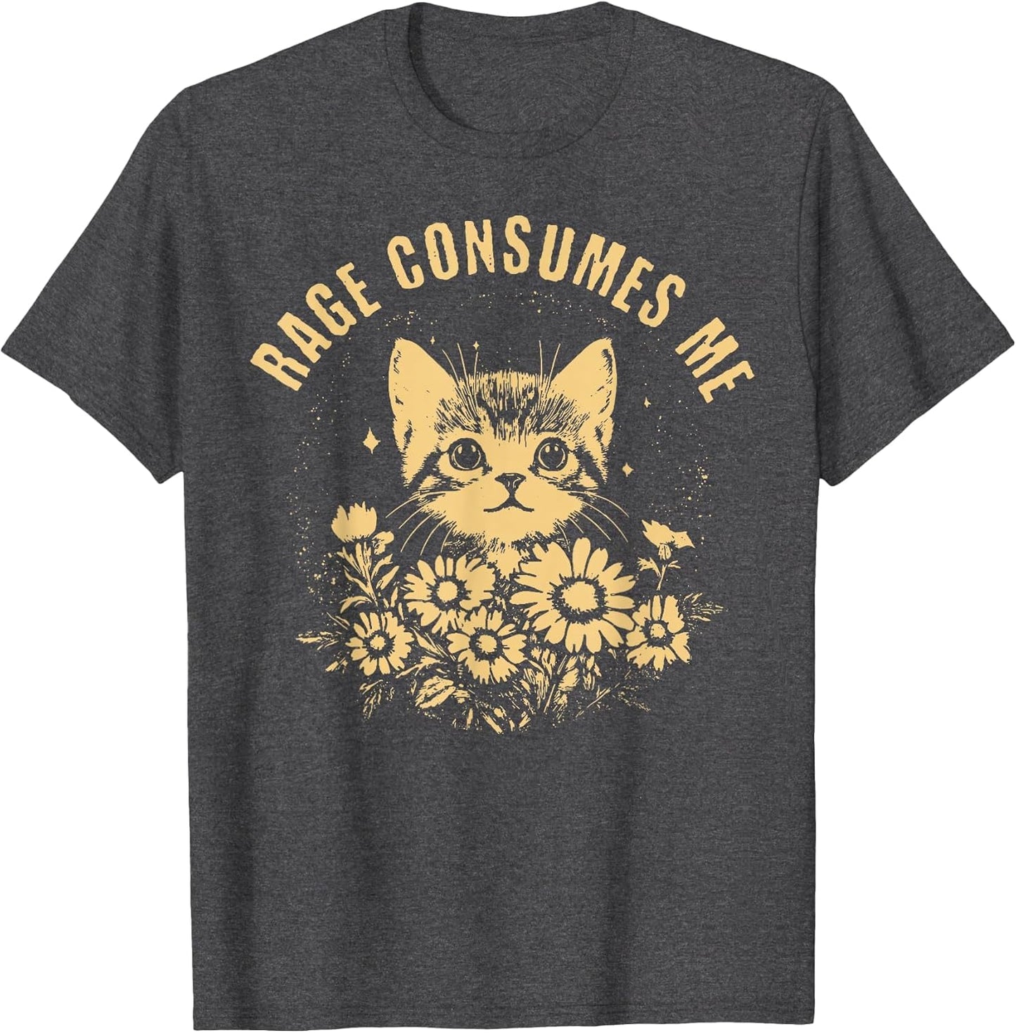 Rage Consumes Me Cute Cat Meme