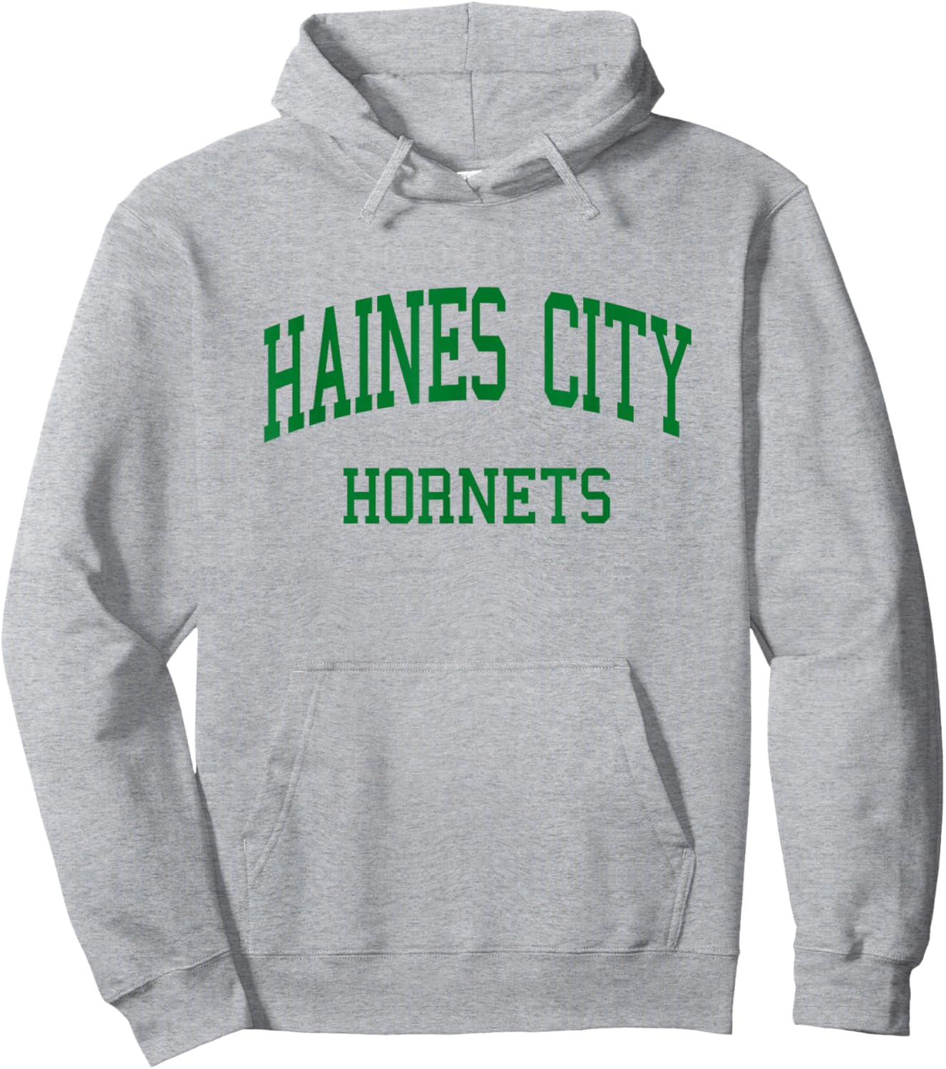 Haines City High School HS Haines City FL Retro Hoodie - Hoodie | Ash