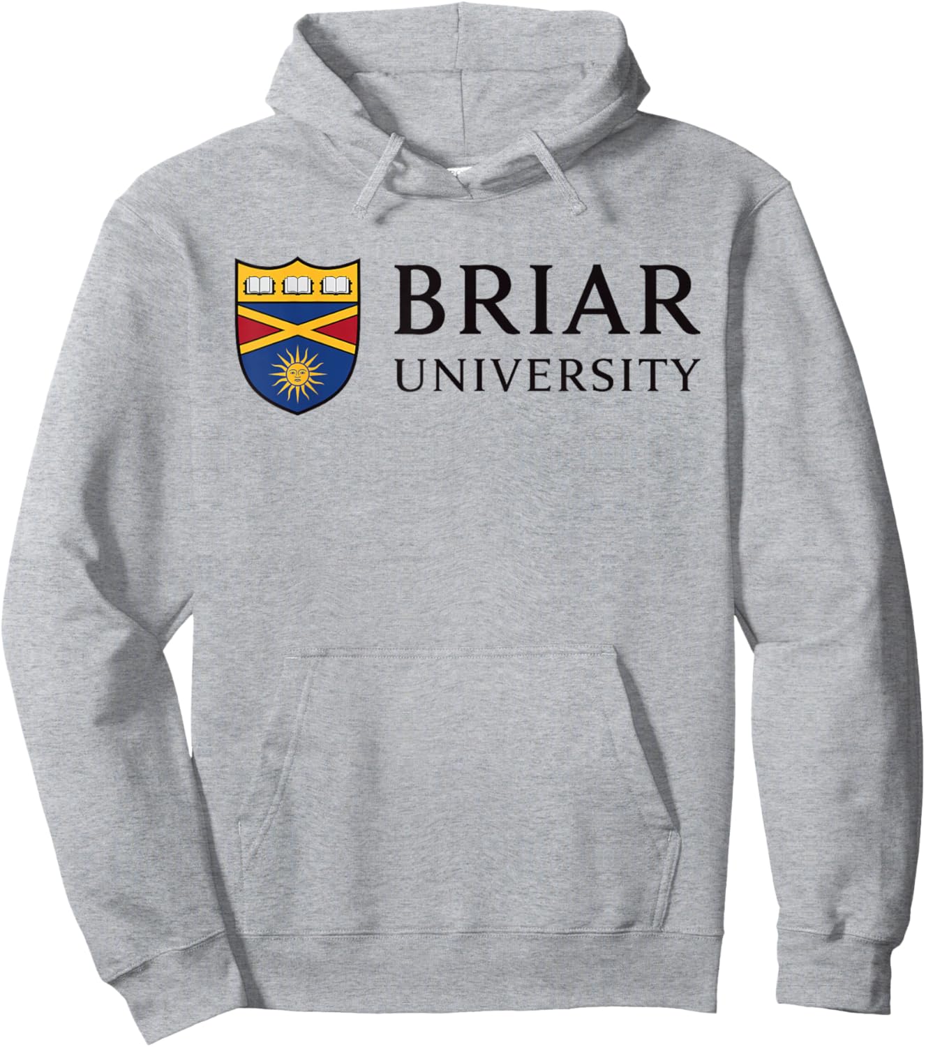 Briar University Hoodie - Hoodie | Ash