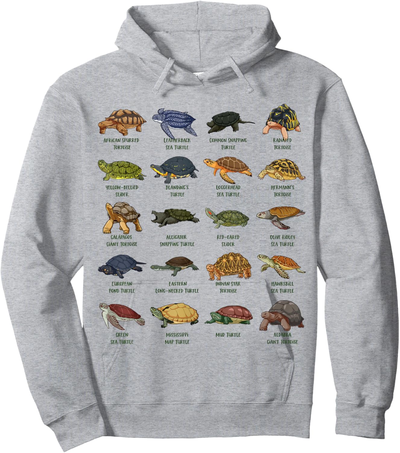 Tortoises and Turtles - Types of Turtles Hoodie - Hoodie | Ash