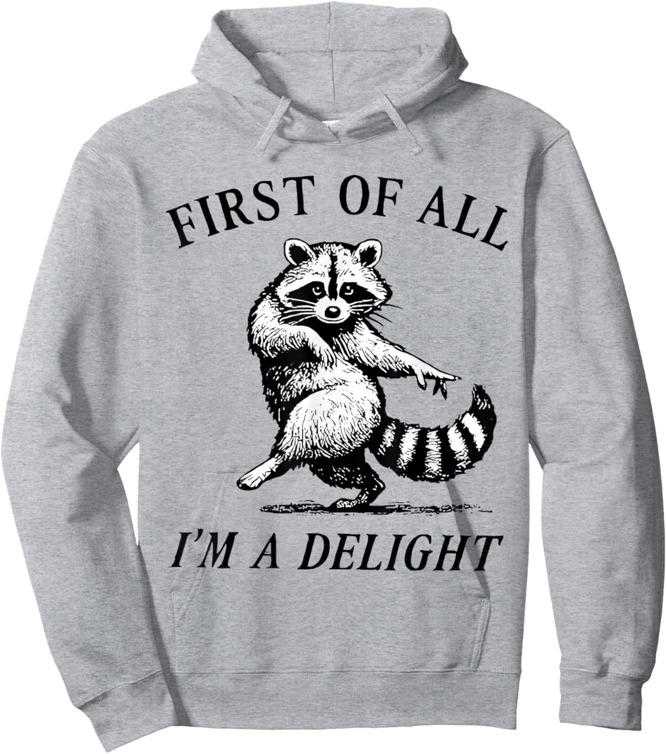 First of All I'm A Delight Funny Raccoon Lover Hoodie - Hoodie | Ash