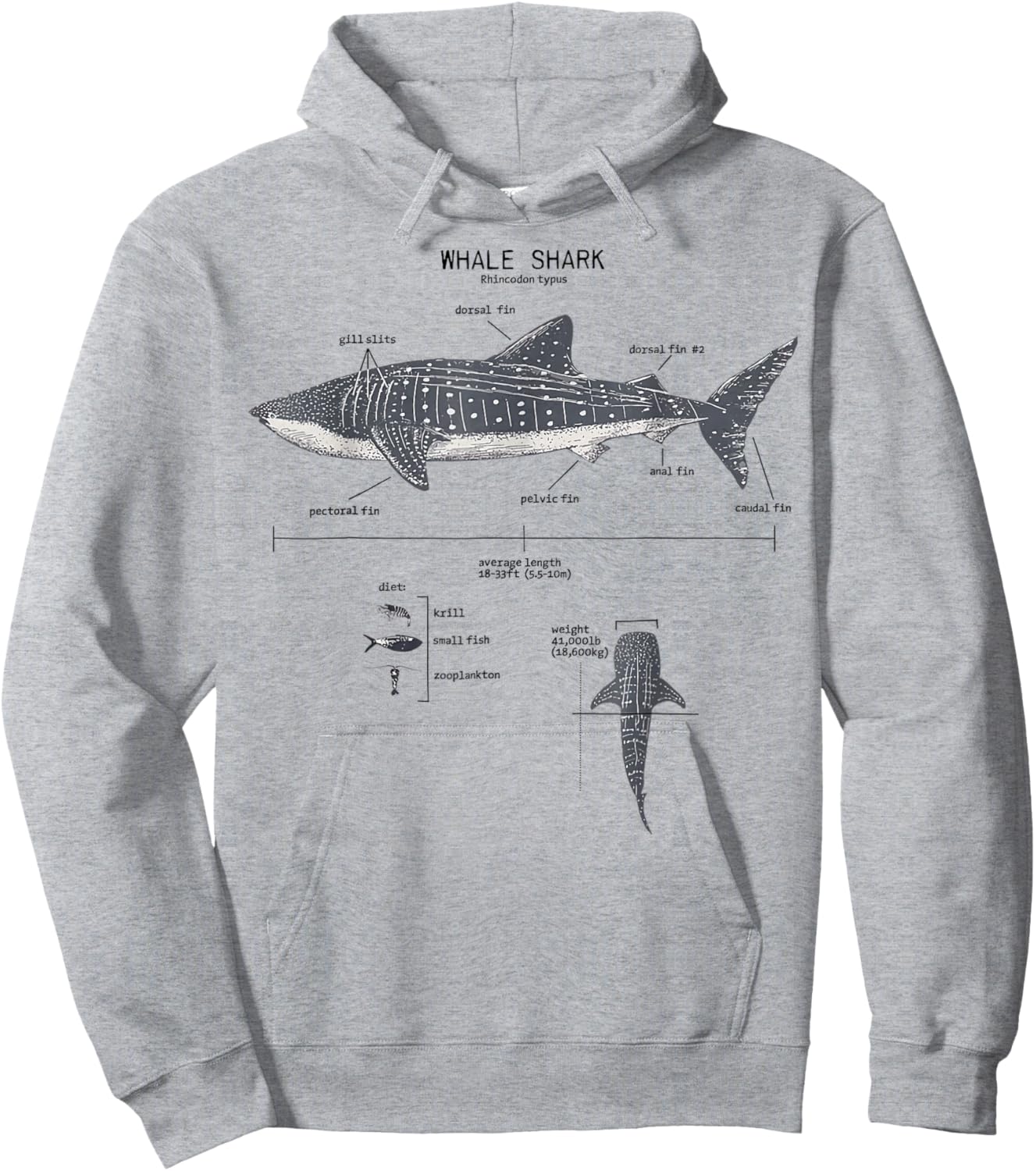 Whale Shark Anatomy Marine Biology Hoodie - Hoodie | Ash