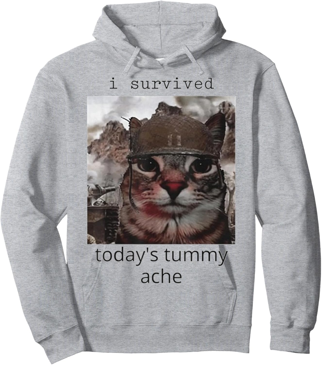 I survived today's tummy ache Cat Hoodie - Hoodie | Ash