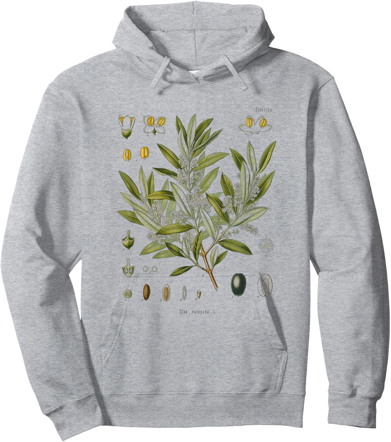 Vintage Botanical Garden Botany Olive tree Hoodie - Hoodie | Ash