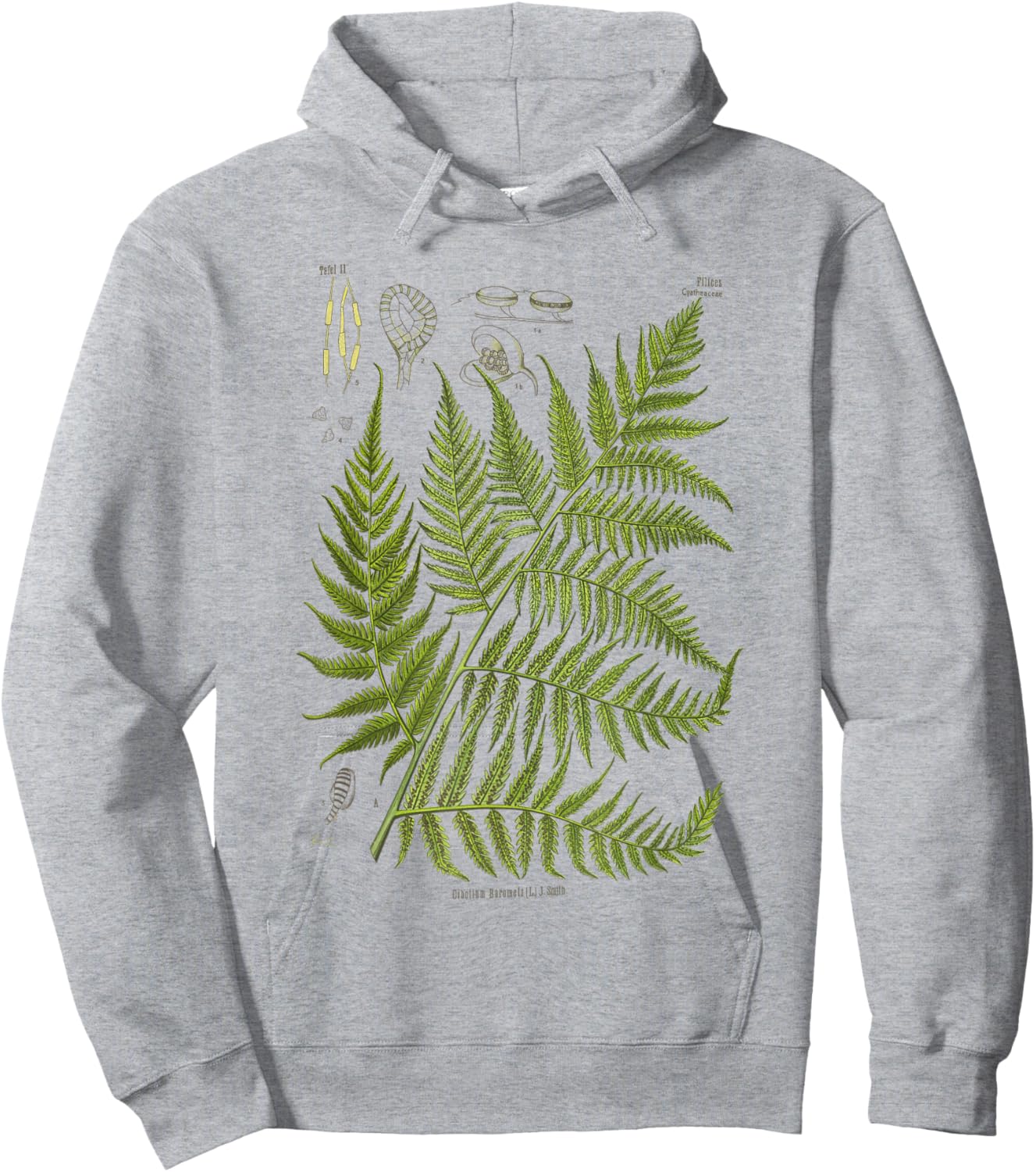 Vintage Botanical Fern Garden Botany Fern Hoodie - Hoodie | Ash