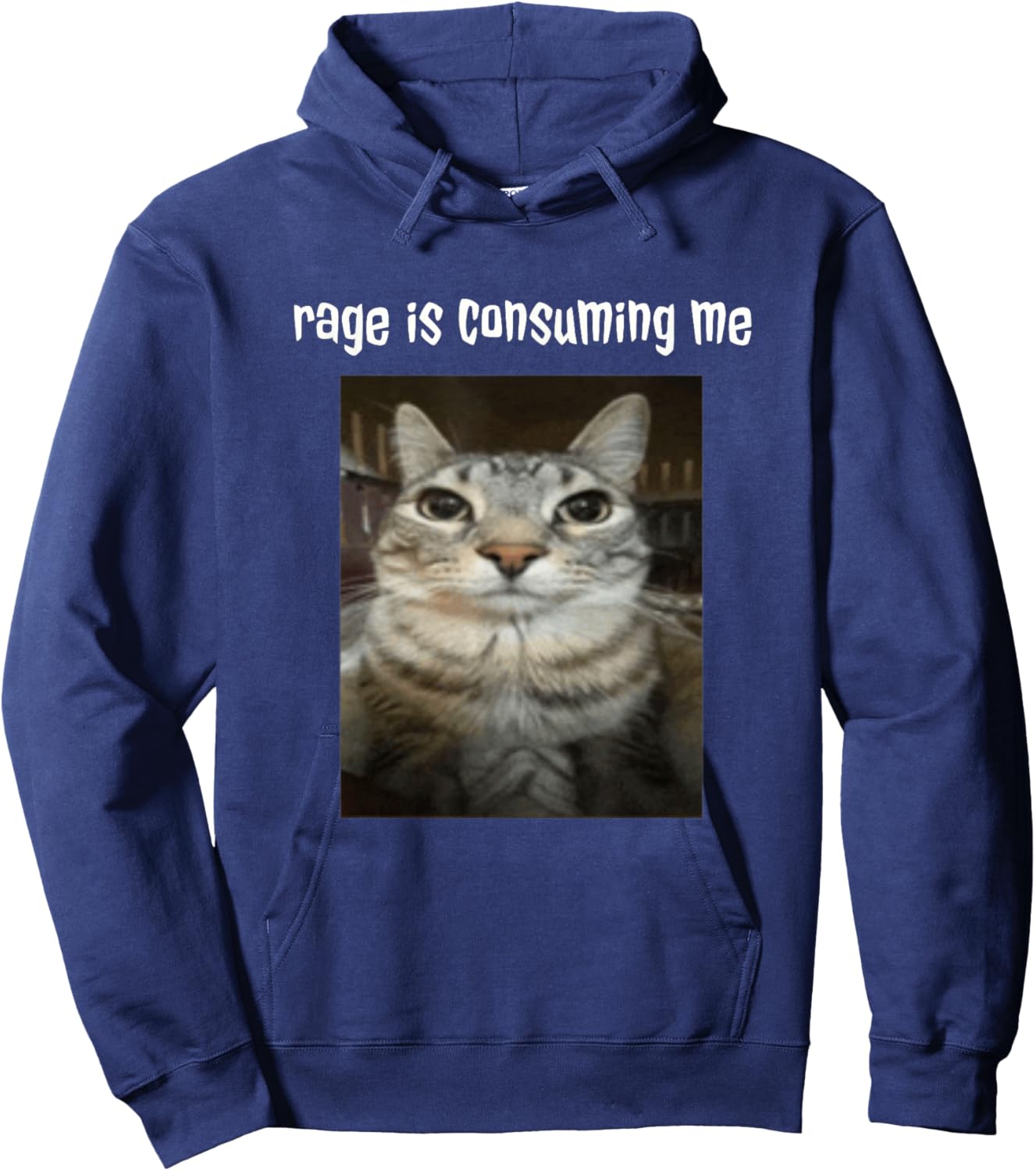 Silly Staring Cat Meme Rage Is Consuming Me Hoodie - Hoodie | Navy
