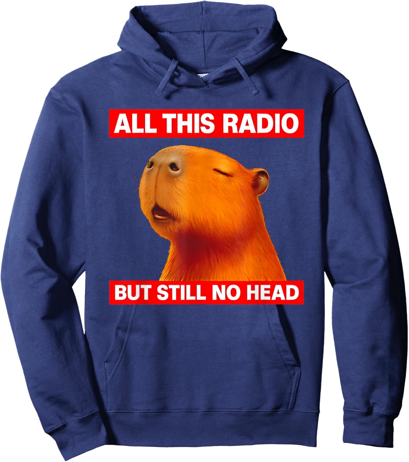 All This Radio But Still No Head Capybara Hoodie - Hoodie | Navy