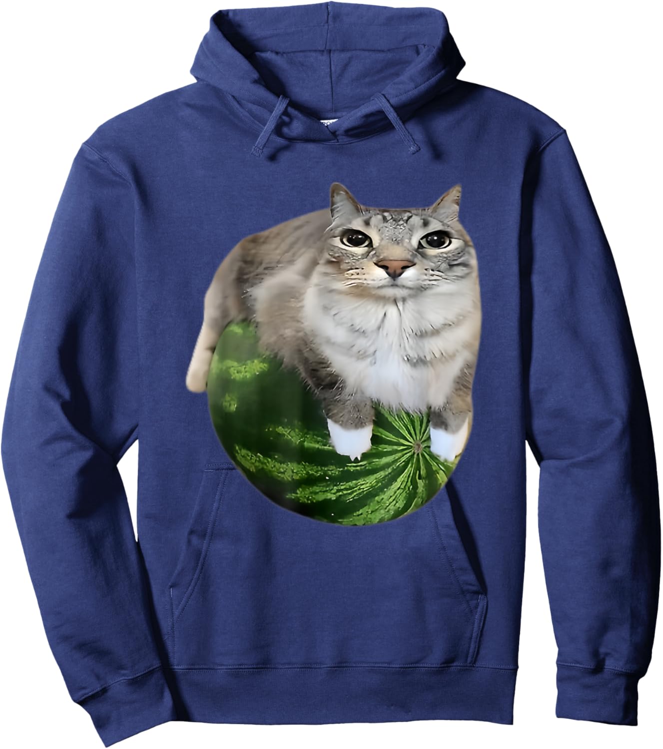 Funny Watermelon Cat Meme Hoodie - Hoodie | Navy