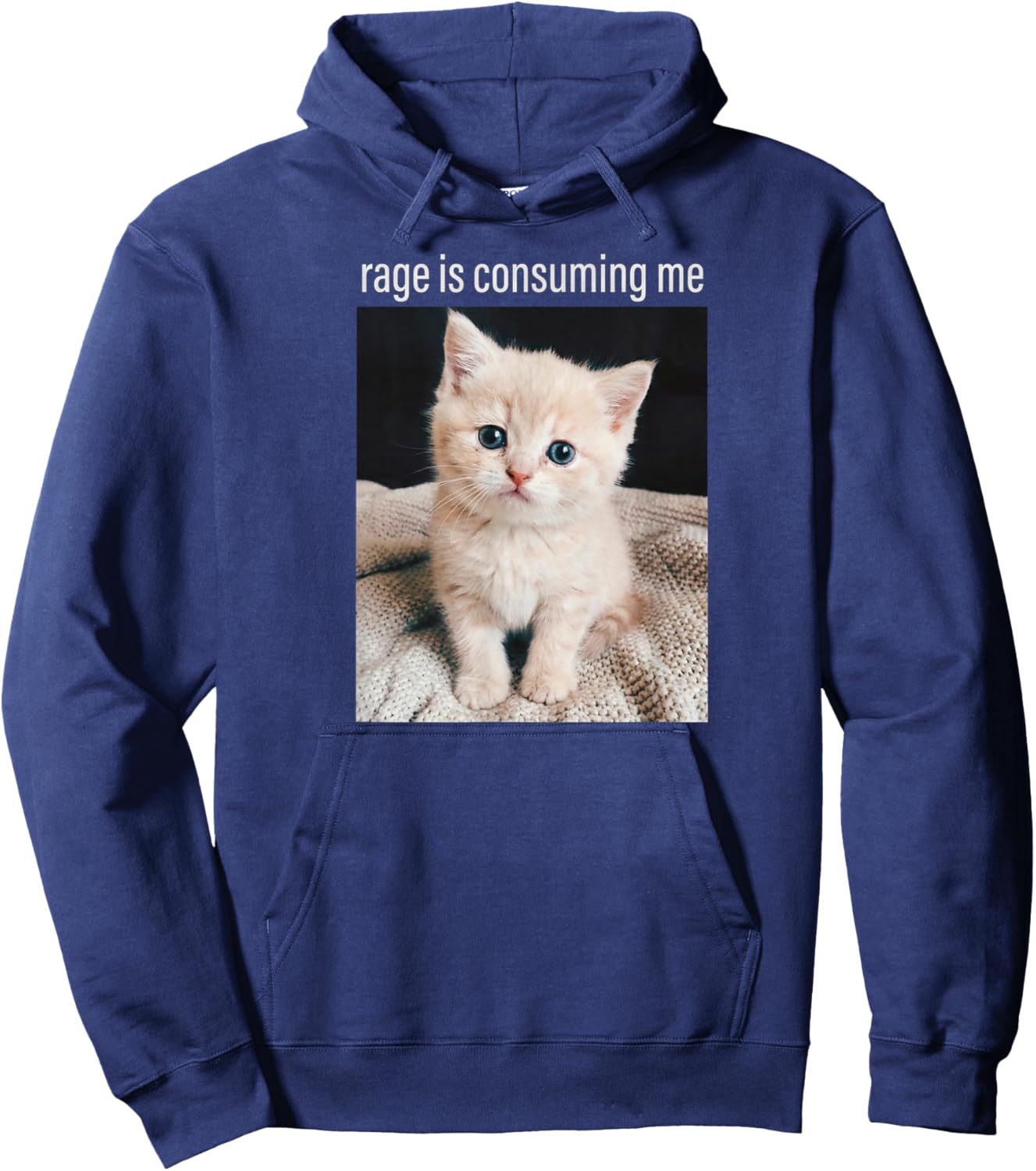 Cat Meme Rage is Consuming Me Minimalist Humor Hoodie - Hoodie | Navy