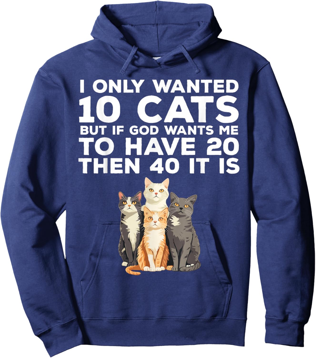 I Only Wanted 10 Cats Funny Cat Lover Hoodie - Hoodie | Navy