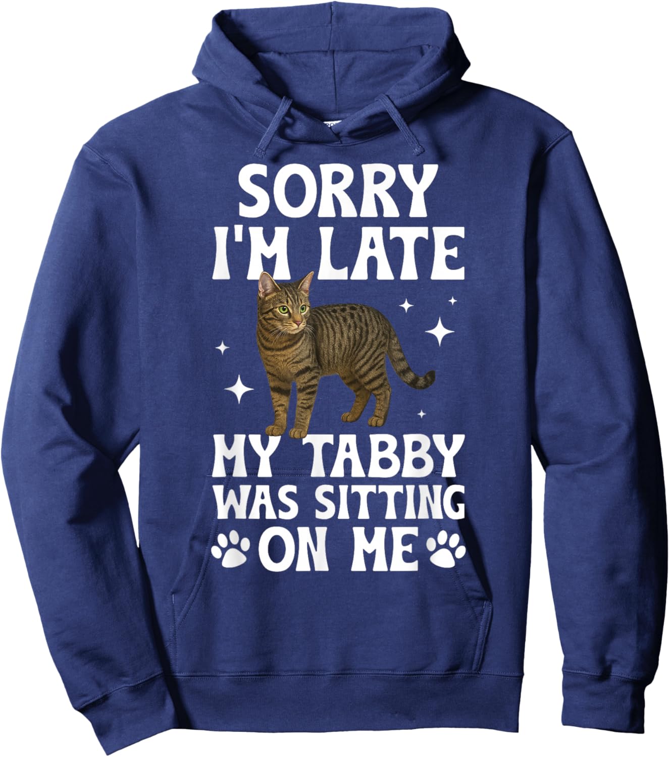 Grey Tabby Cat Owner Funny Gray Tabby Cat Lover Hoodie - Hoodie | Navy