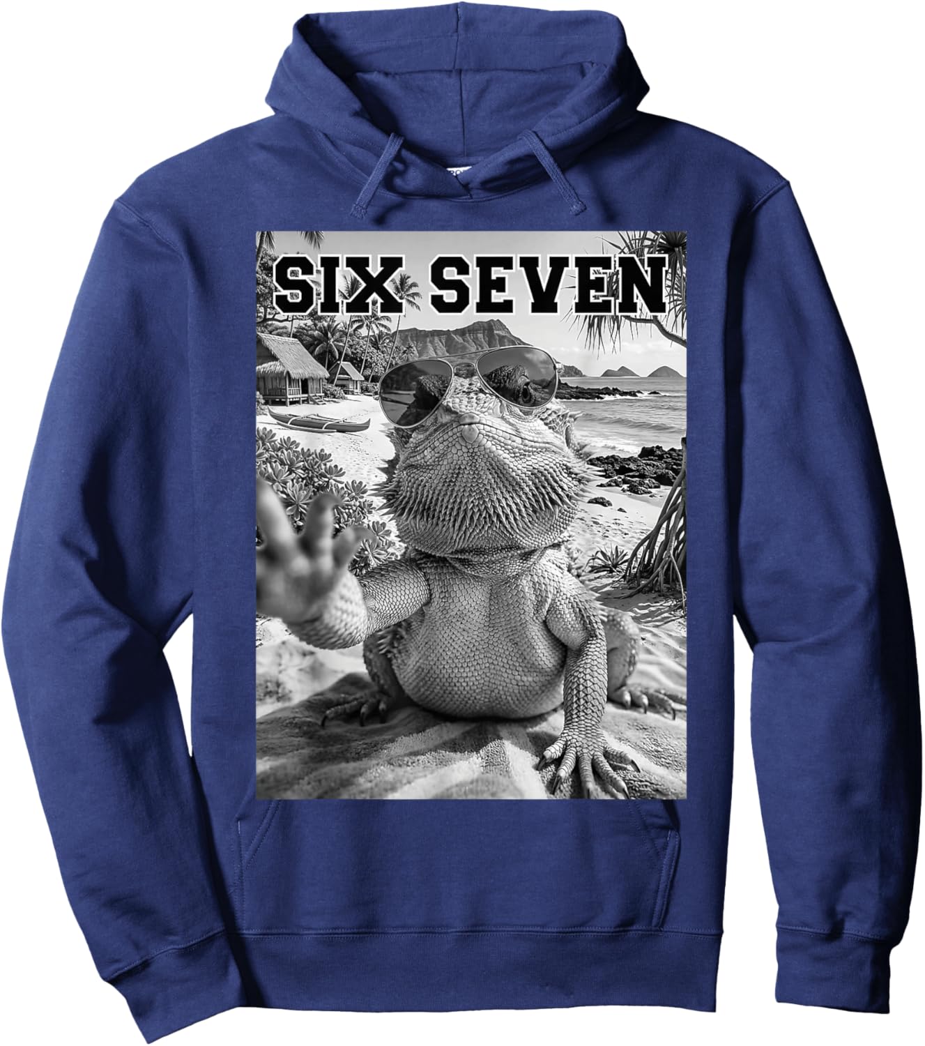 67 Bearded Dragon Lover Beach Funny Humor Meme Hoodie - Hoodie | Navy