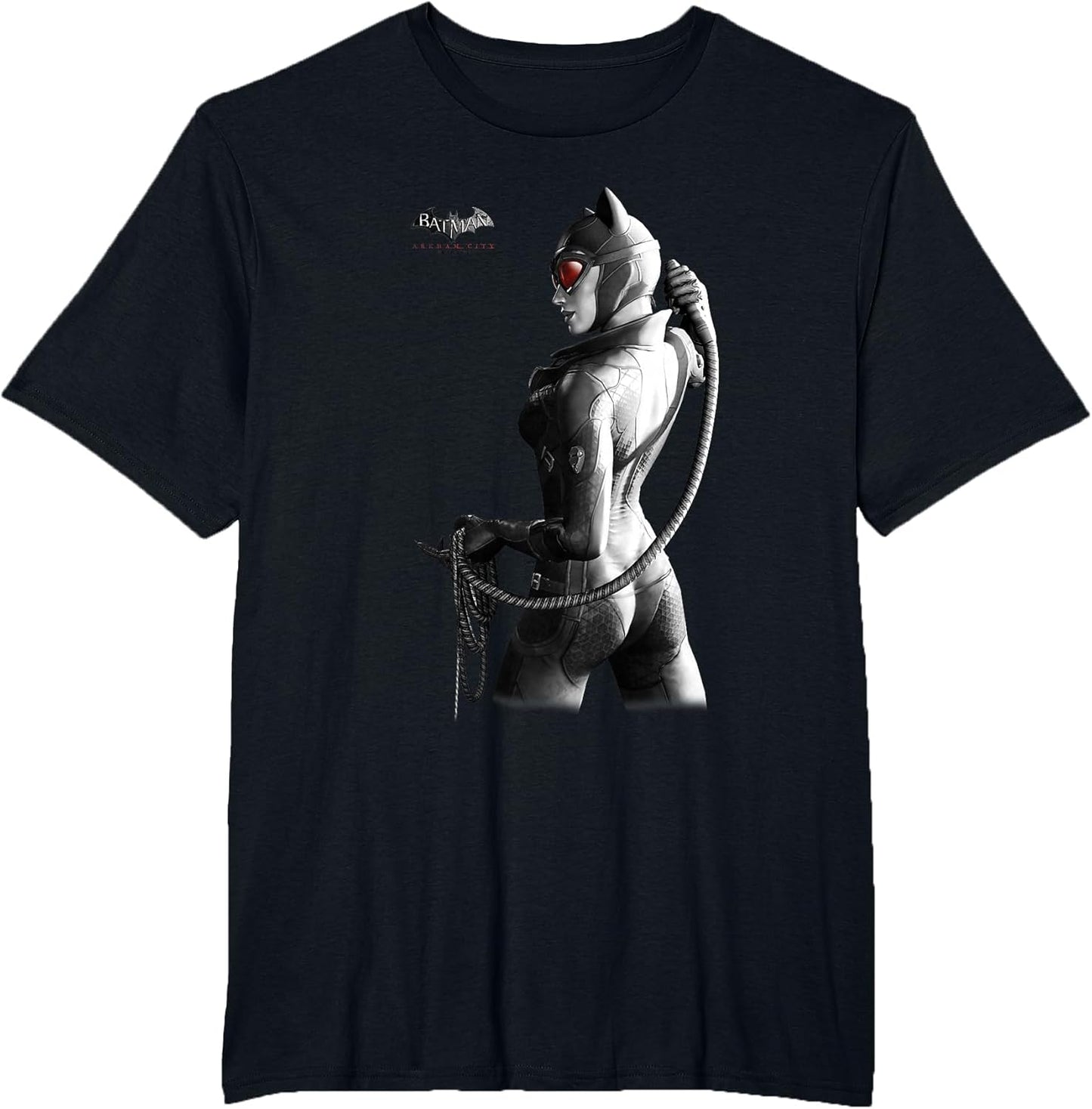 Batman: Arkham City Catwoman Distressed Villain Poster