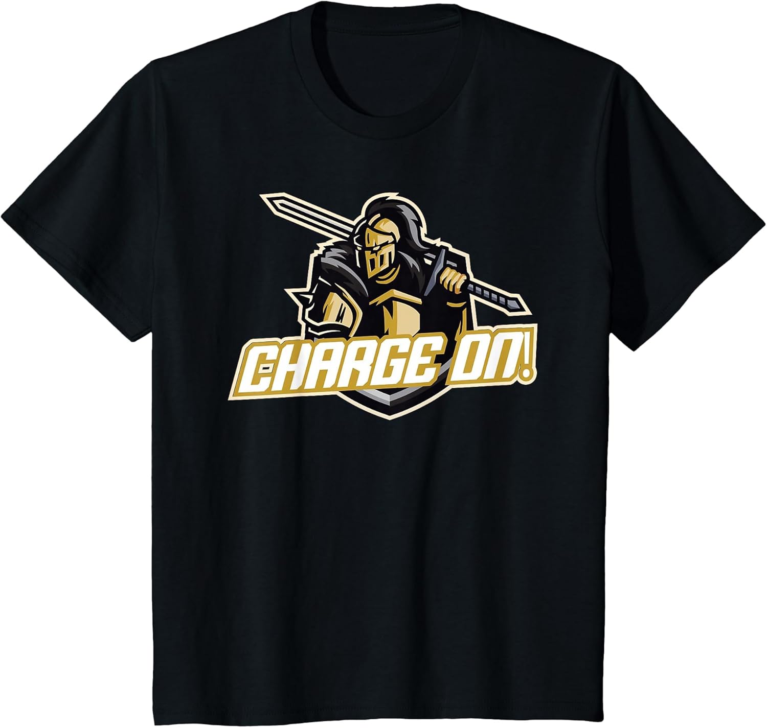 Charge On Florida Knight