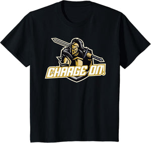 Charge On Florida Knight