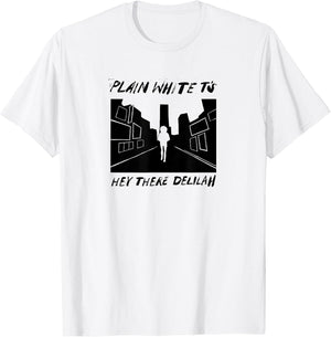 Plain White T's - Hey There Deliliah