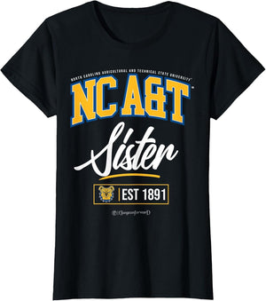 North Carolina A&T State University - NCAT HBCU Sister