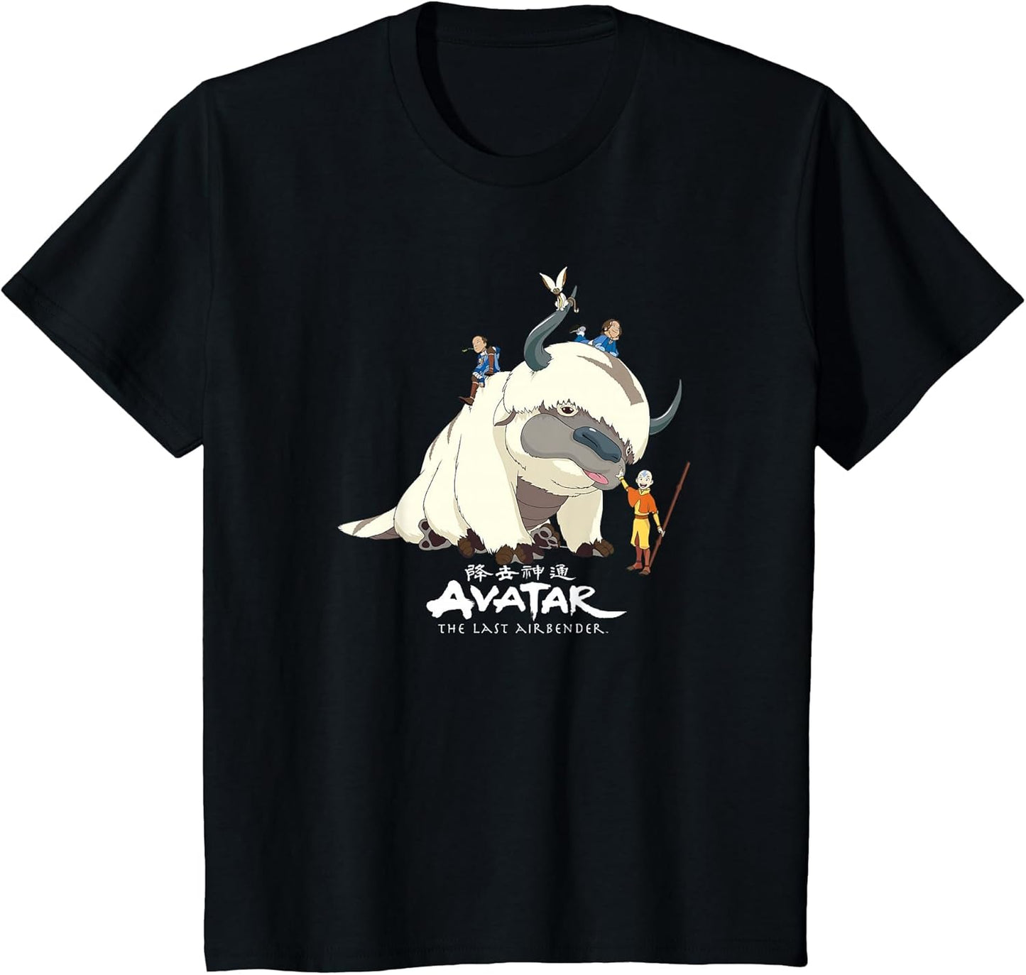 Avatar: The Last Airbender Team Avatar Group Shot Distressed