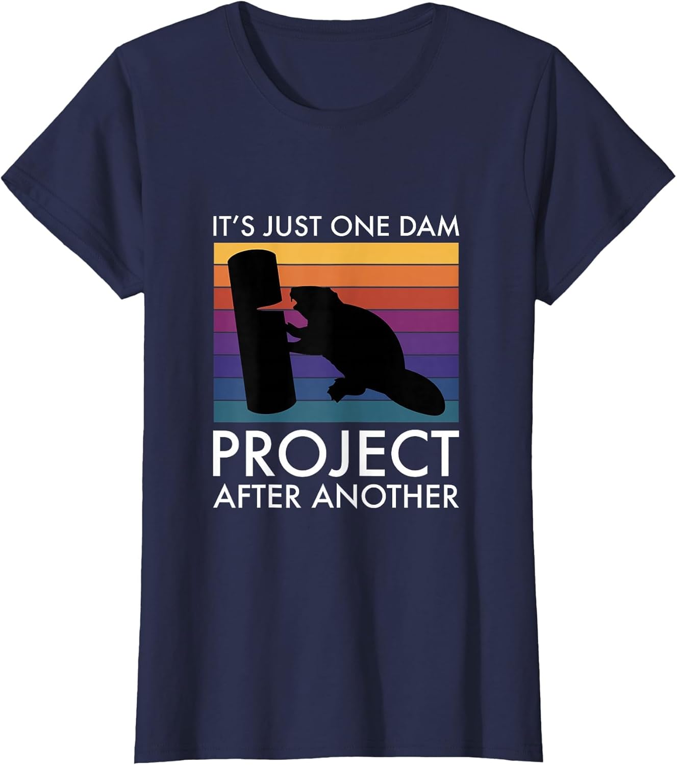 It's Just One Dam Project After Another