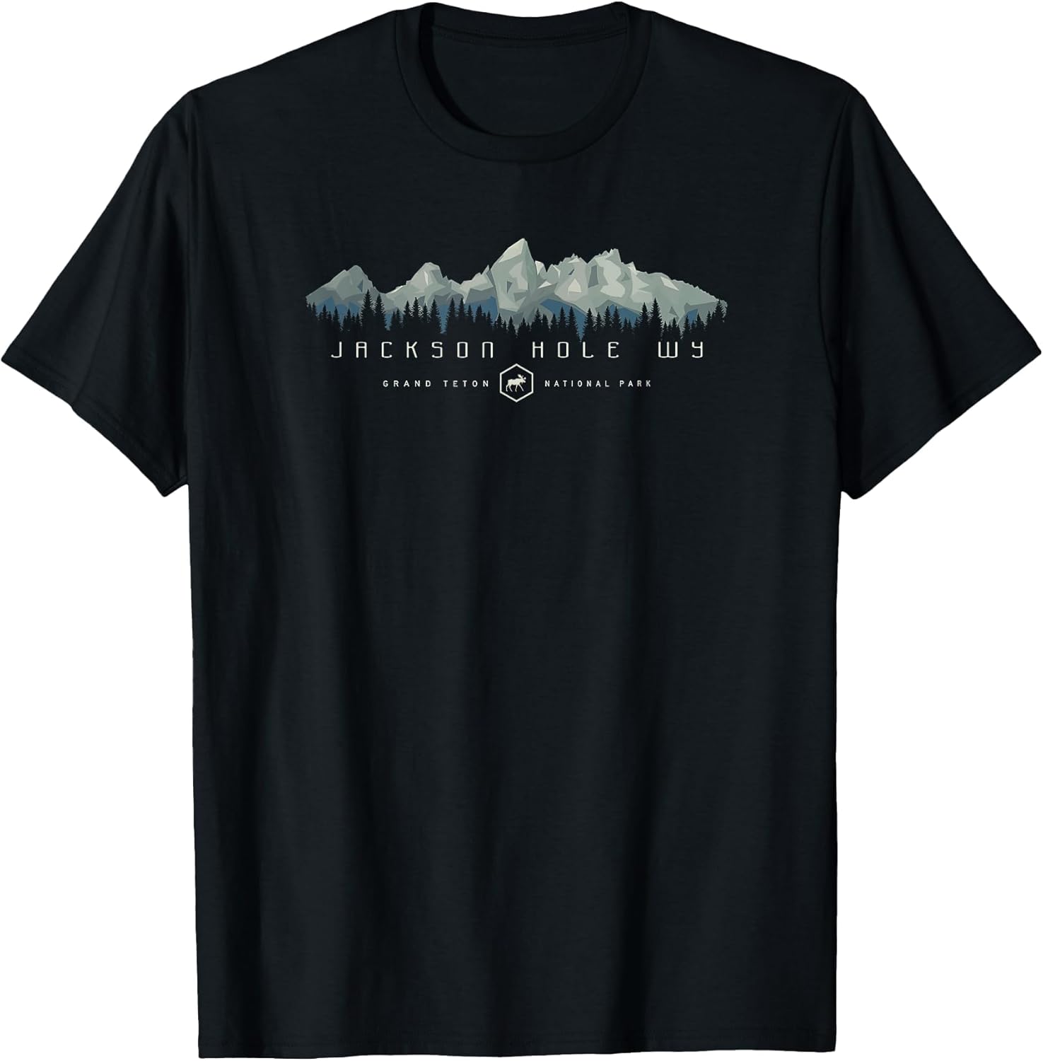 Grand Teton National Park Retro