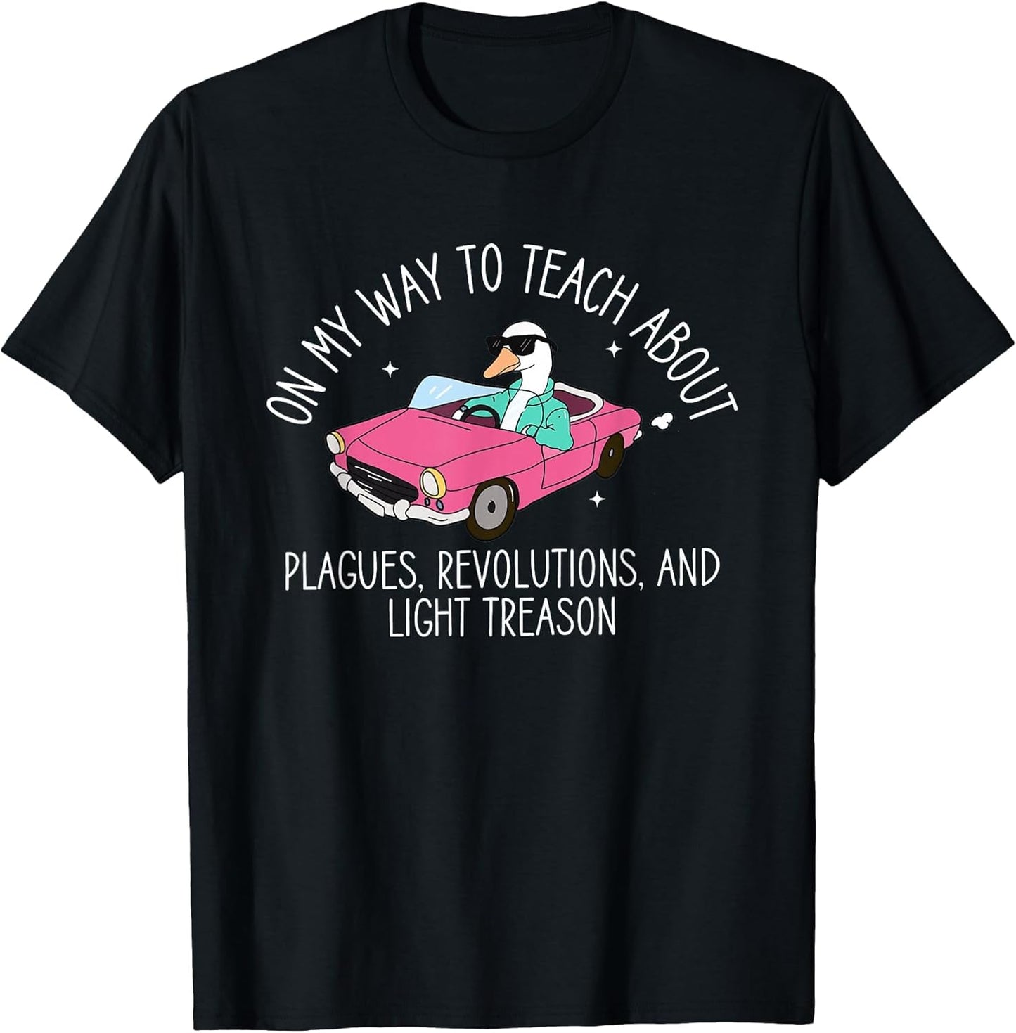 History Teacher Silly Goose Back to School Social Studies