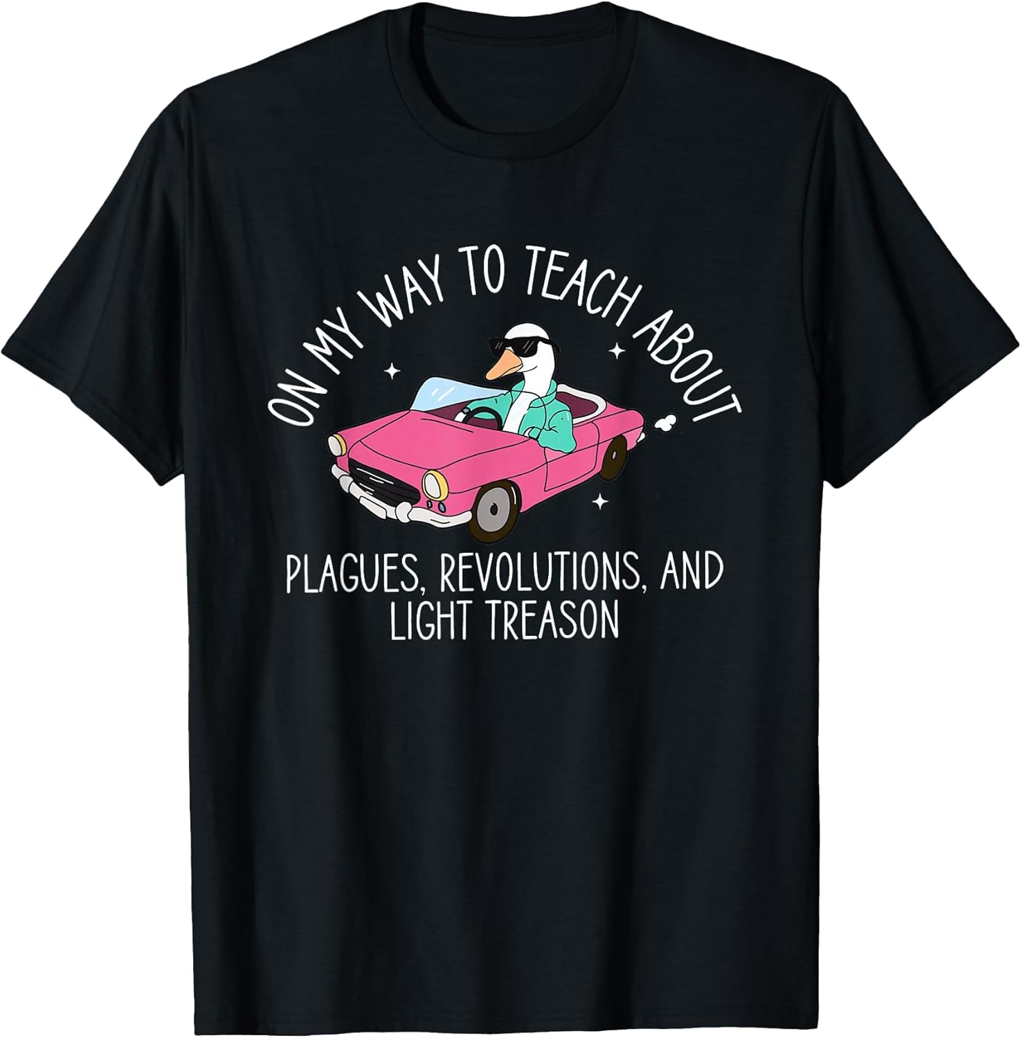 History Teacher Silly Goose Back to School Social Studies