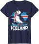 Iceland Puffin Scandinavia Viking Norse Icelandic Iceland
