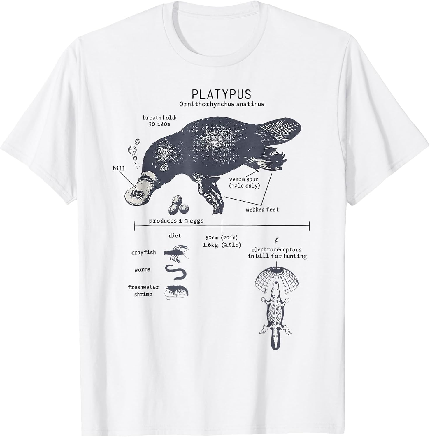 Funny Platypus Anatomy Diagram Science Lover