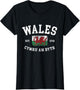 Wales Flag Cymru Am Byth Welsh Dragon Banner Welshman