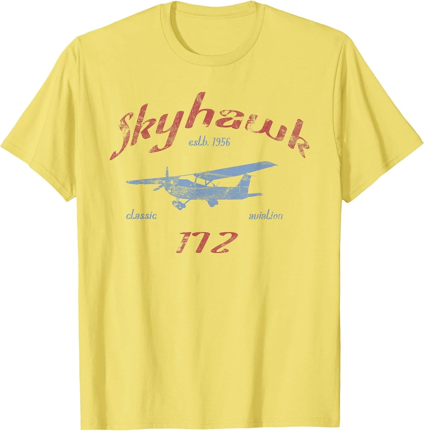 172 Skyhawk Airplane Classic Vintage Aviation Private Pilot