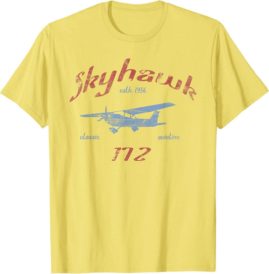 172 Skyhawk Airplane Classic Vintage Aviation Private Pilot