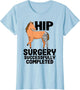 Hip Surgery Successfully Completed Horse Funny Recovery