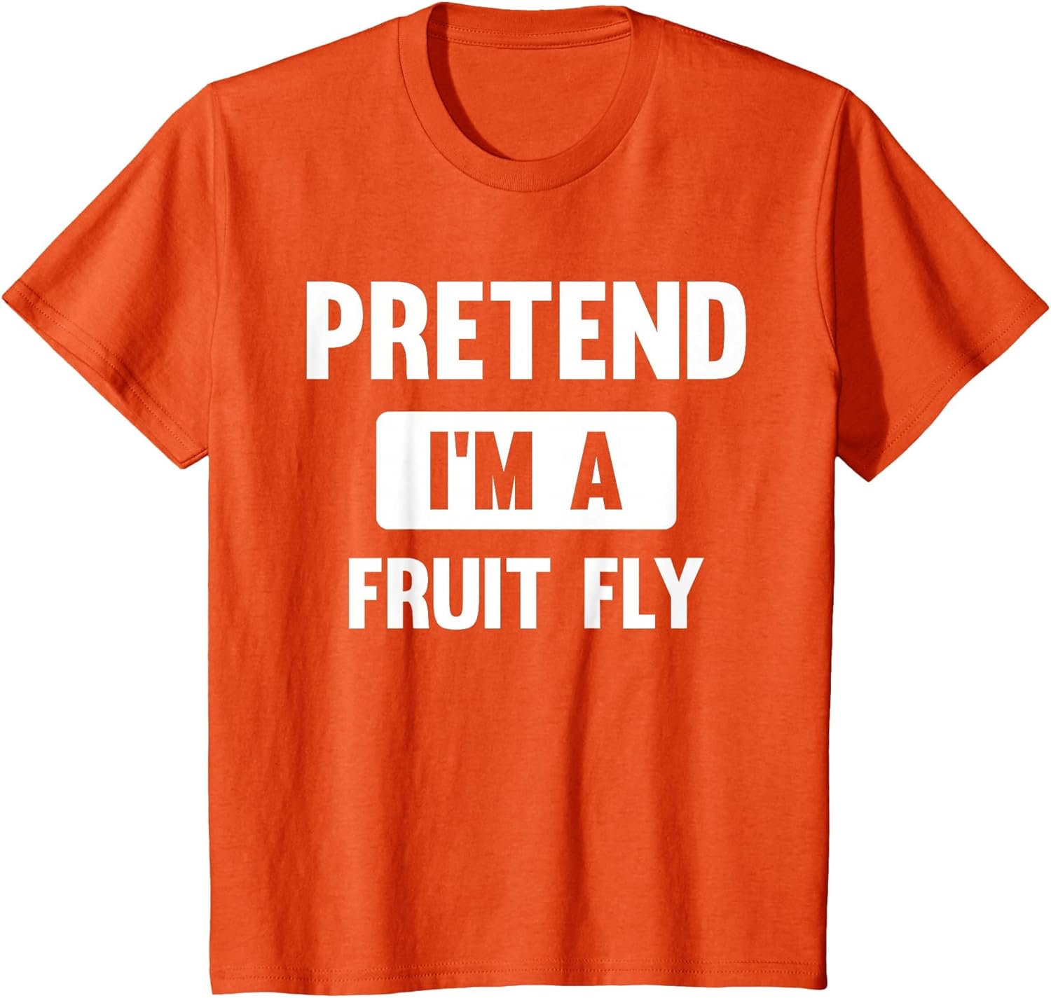 Pretend I'm A Fruit Fly Funny Halloween Costume
