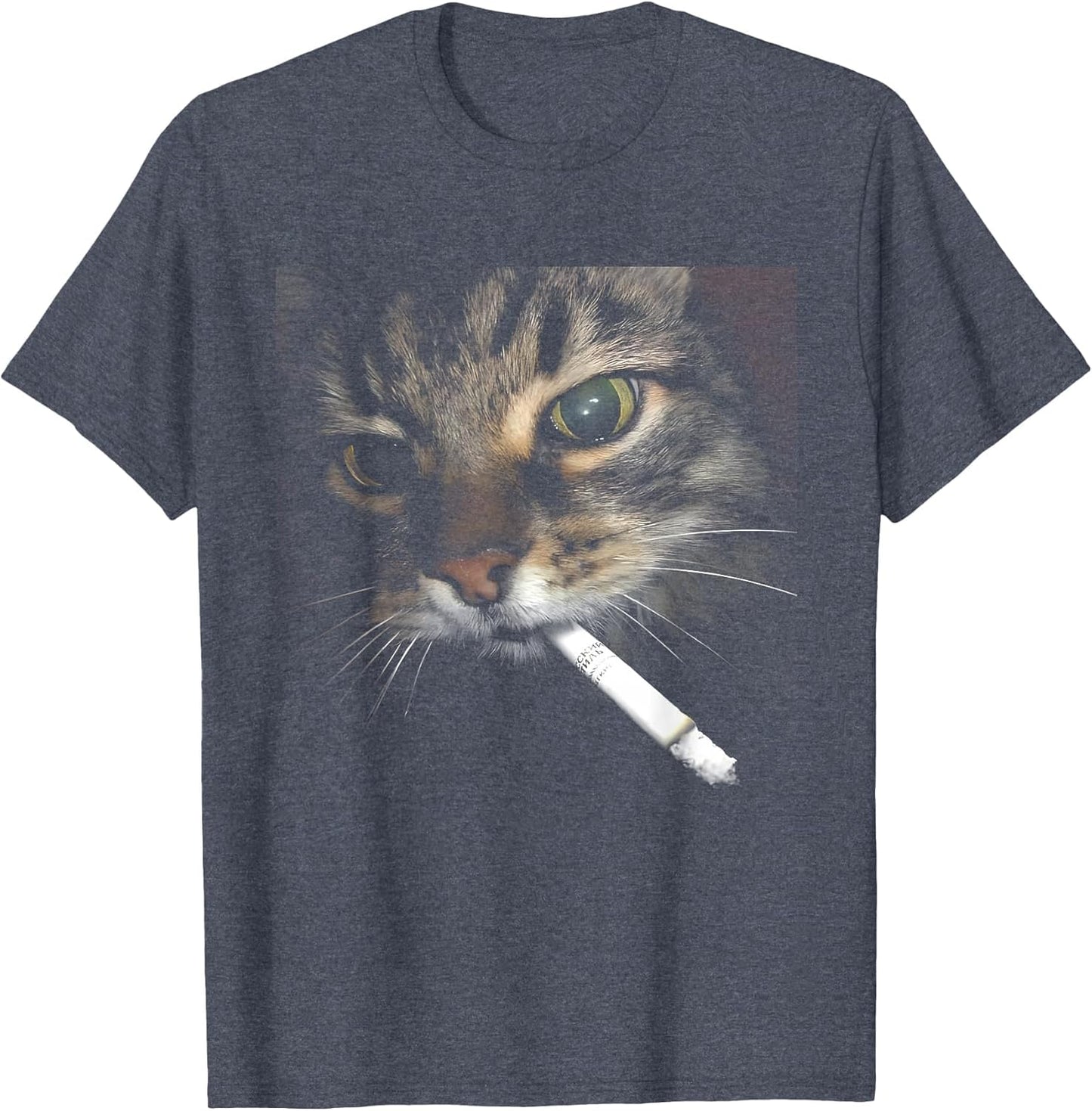 Cat Photo