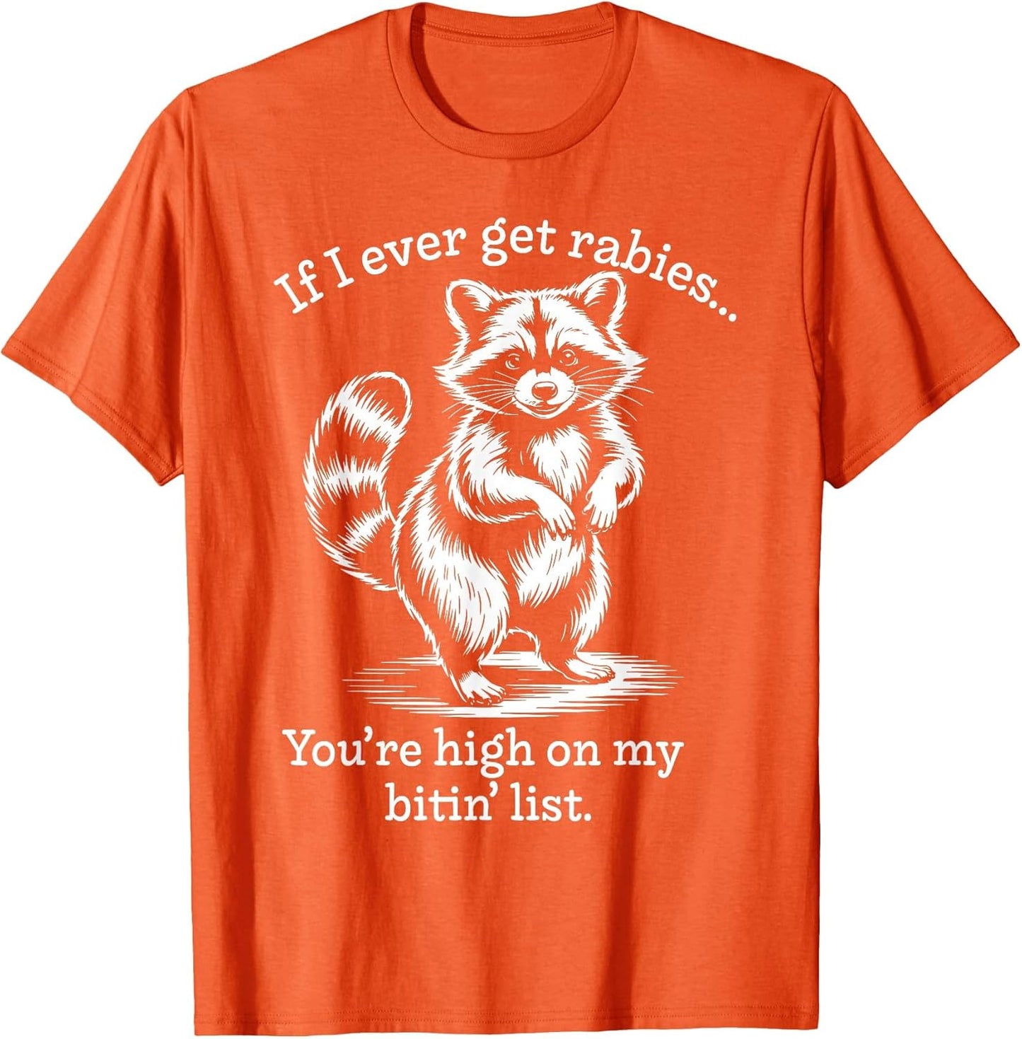 Raccoon, if I Ever get Rabies, You are at the top of My List