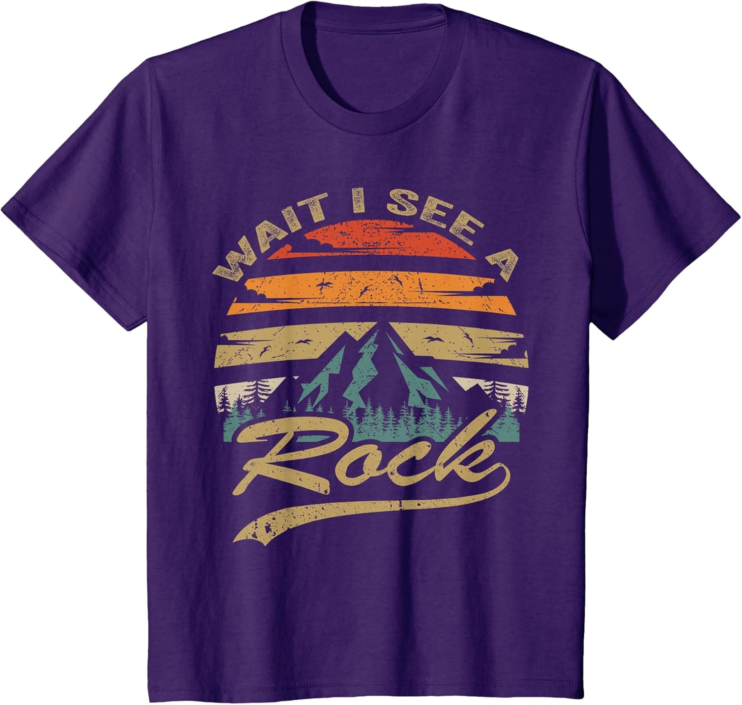 Wait I See A Rock, Retro Vintage Geology