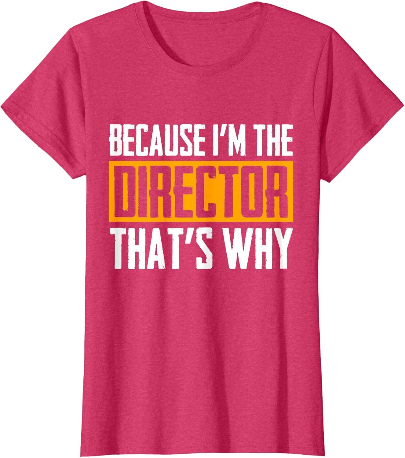 Because I'm The Director That's Why