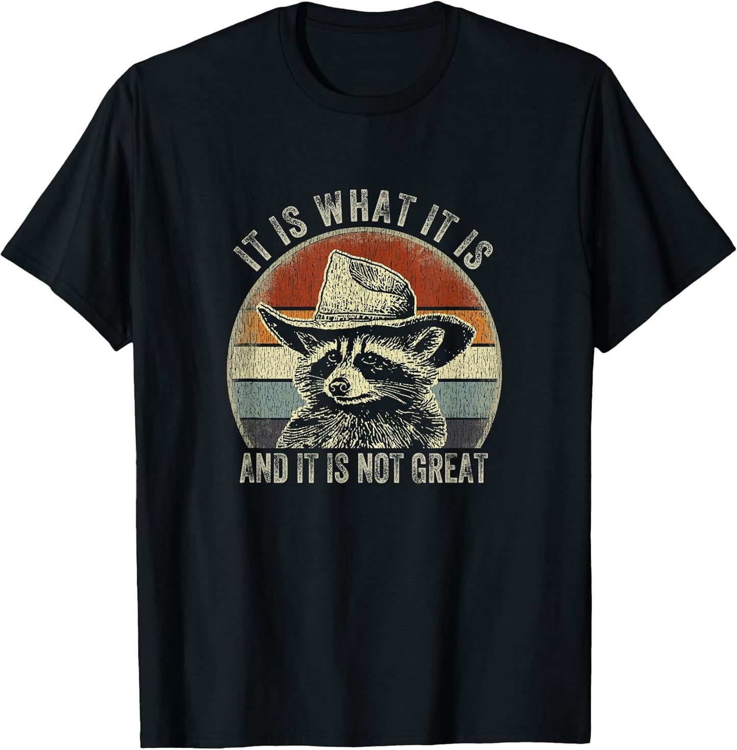 It is What It is and It is Not Great Raccoon Trash Panda