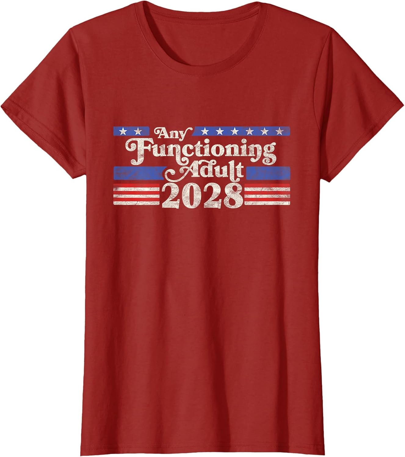 Any Functioning Adult 2028 Funny Retro Election Logo Vintage