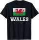 Wales Flag Vintage I Men Women Kids