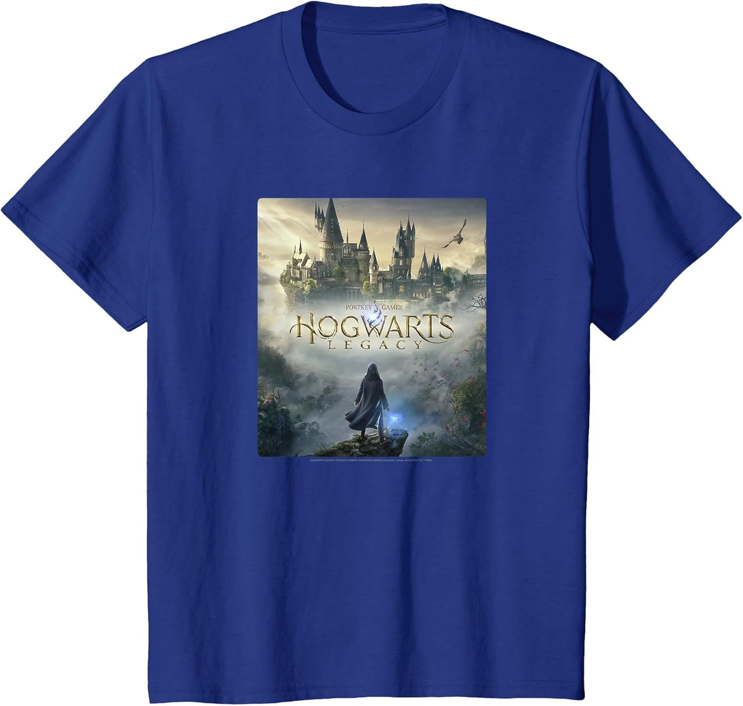 Hogwarts Legacy Wizard Adventure Magic Game Poster