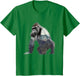 Gorilla Ape Silverback Primate Nature Jungle
