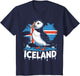 Iceland Puffin Scandinavia Viking Norse Icelandic Iceland