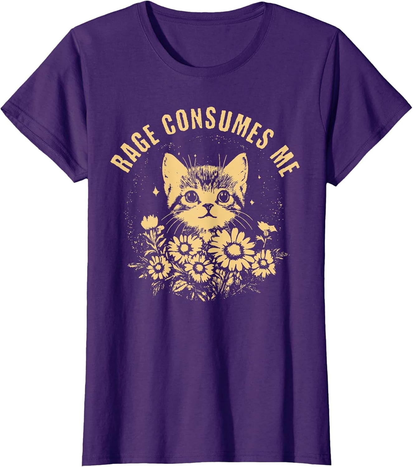 Rage Consumes Me Cute Cat Meme
