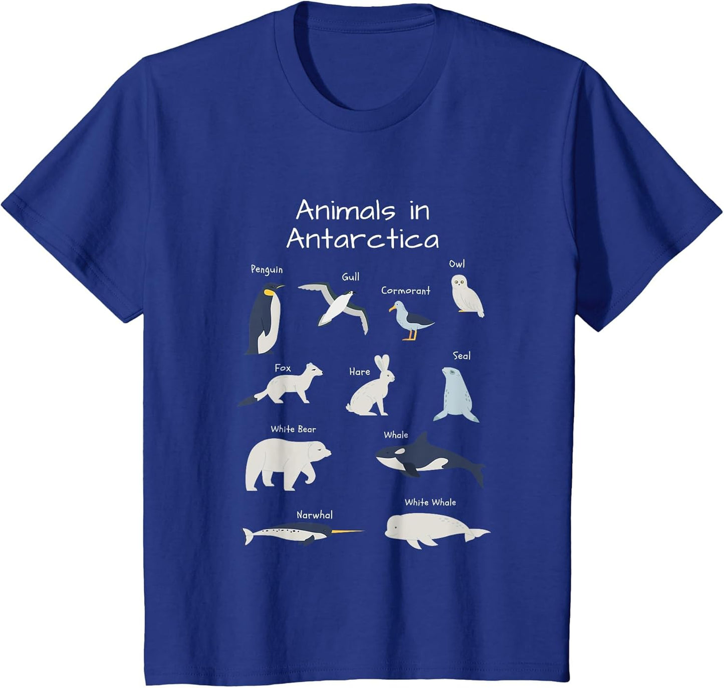 Antarctica Animals Narwhal Bear Penguin Seal Whale Owl Fox
